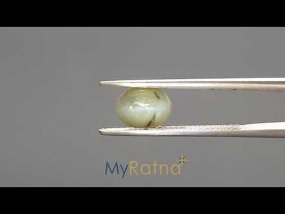 Cats Eye (Lehsunia) - 2.67 Carats