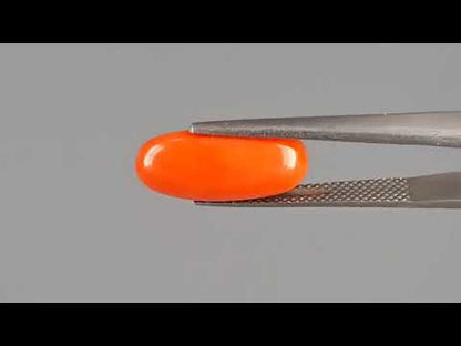 Red Coral - 4.68 Carats (Moonga - 5.10 Ratti)