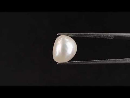 Venezuela Pearl - 4.19 Carats (Moti - 4.57 Ratti)