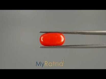 Red Coral (Moonga) - 5.09 Carats