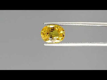 Yellow Sapphire - 2.51 Carats (Pukhraj - 2.74 Ratti)
