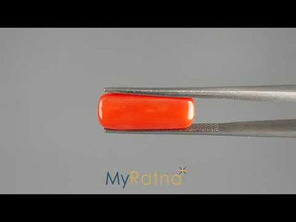 Red Coral (Moonga) - 7.04 Carats