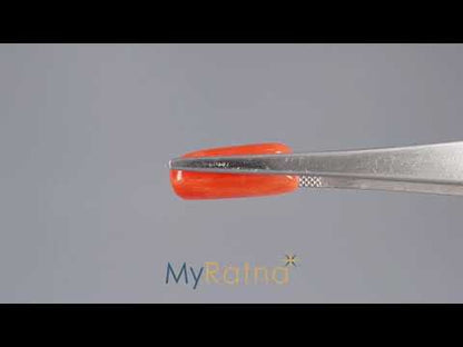 Red Coral (Moonga) - 8.12 Carats