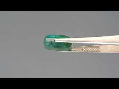 Emerald (Panna) - 8.06 Carats