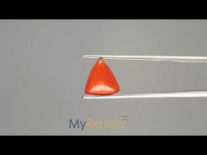 Red Coral (Moonga) - 3.36 Carats