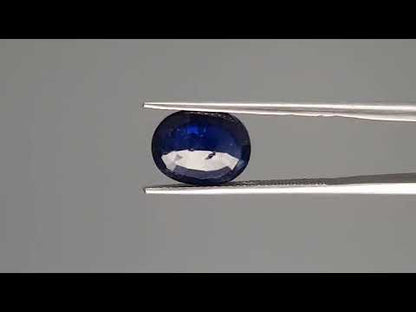 Blue Sapphire (Neelam) - 3.10 Carats