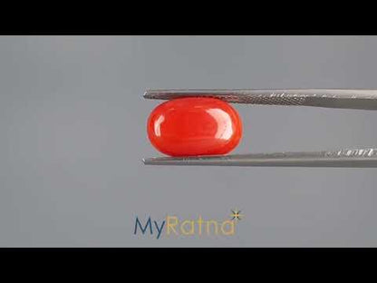 Red Coral - 4.72 Carats (Moonga - 5.14 Ratti)