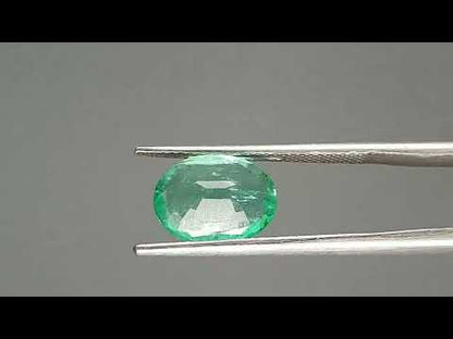 Emerald (Panna) - 2.76 Carats
