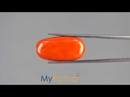 Red Coral - 17.65 Carats (Moonga - 19.24 Ratti)
