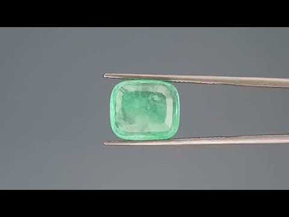 Emerald (Panna) - 7.47 Carats