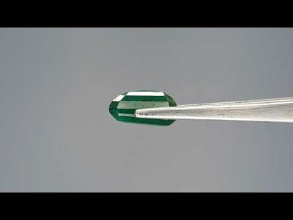 Emerald (Panna) - 8.83 Carats