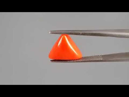 Red Coral (Moonga) - 4.94 Carats