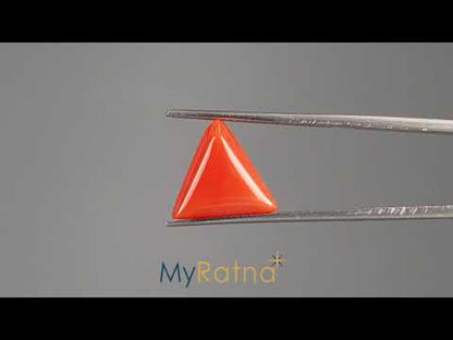 Red Coral (Moonga) - 5.21 Carats