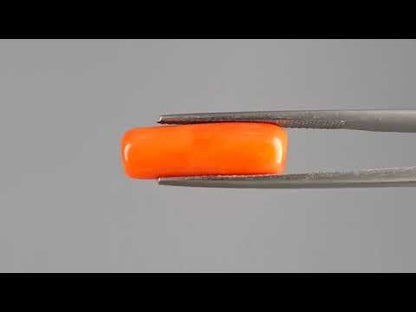 Red Coral (Moonga) - 6.44 Carats