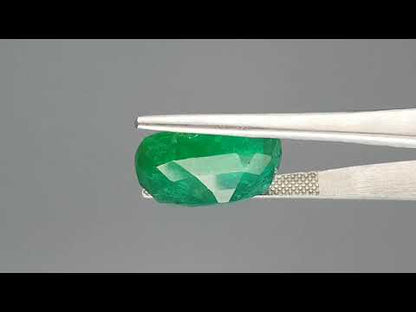Emerald (Panna) - 12.77 Carats