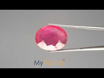 Ruby - 16.70 Carats (Manik - 18.20 Ratti)