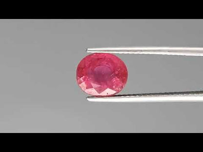 Ruby (Manik) - 2.67 Carats
