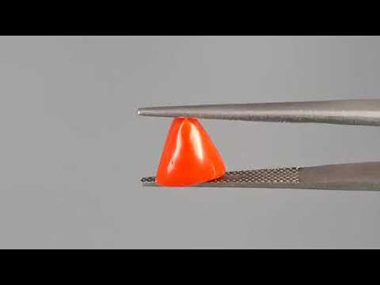 Red Coral (Moonga) - 2.93 Carats