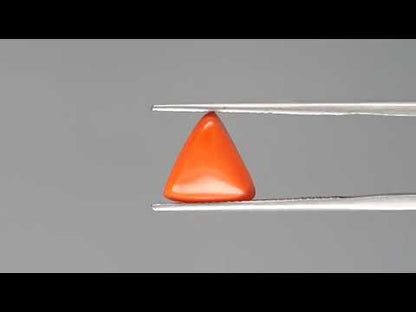 Red Coral - 3.06 Carats (Moonga - 3.34 Ratti)