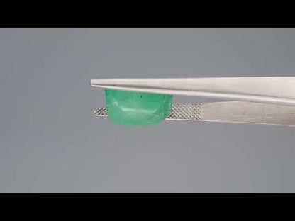 Emerald (Panna) - 9.37 Carats