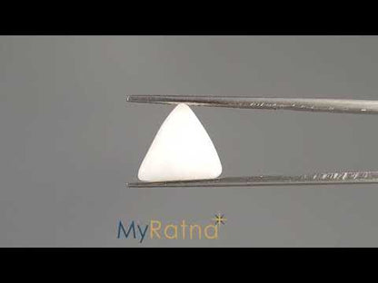 White Coral - 3.6 Carats