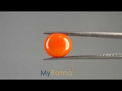 Red Coral (Moonga) - 6.67 Carats