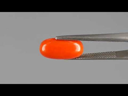 Red Coral - 4.91 Carats (Moonga - 5.35 Ratti)