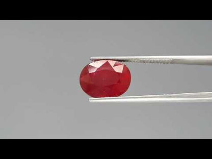 Ruby - 8.56 Carats (Manik - 9.33 Ratti)