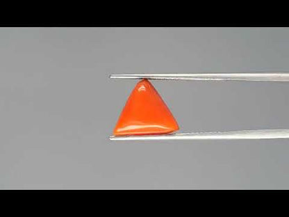 Red Coral - 4.59 Carats (Moonga - 5.00 Ratti)