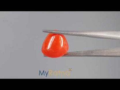 Red Coral - 16.12 Carats (Moonga - 17.57 Ratti)
