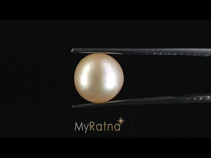 South Sea Pearl (Moti) - 7.13 Carats