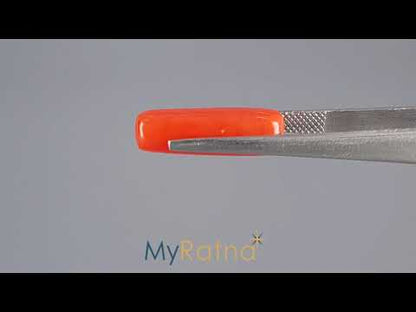 Red Coral (Moonga) - 8.03 Carats