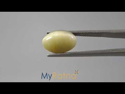 Cat's Eye - 7.05 Carats (Lahsuniya - 7.68 Ratti)