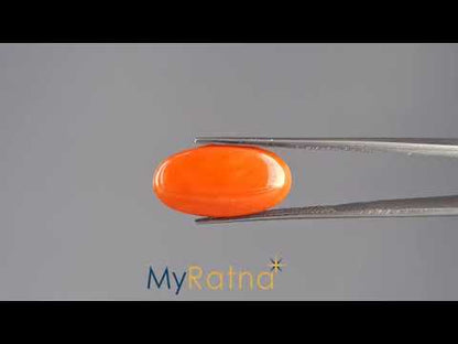 Red Coral - 6.91 Carats (Moonga - 7.53 Ratti)