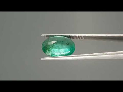 Emerald (Panna) - 7.55 Carats