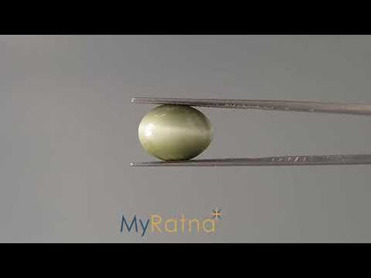 Cat's Eye - 6.63 Carats (Lahsuniya - 7.23 Ratti)