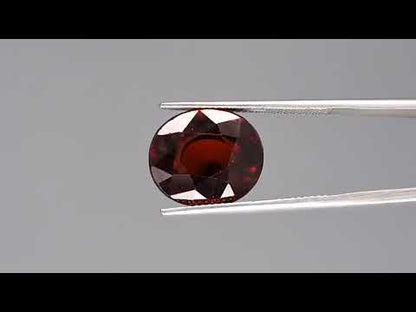 Hessonite - 10.04 Carats (Gomed - 10.94 Ratti)