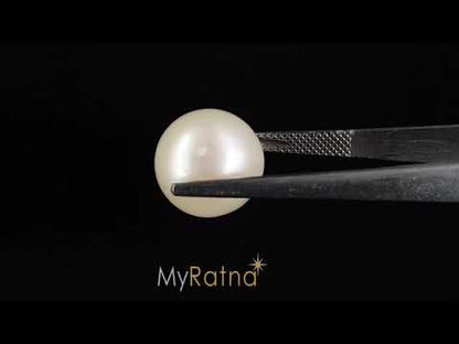 South Sea Pearl (Moti) - 13.62 Carats
