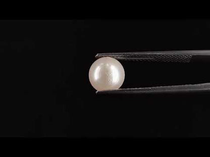South Sea Pearl - 3.35 Carats (Moti - 3.65 Ratti)