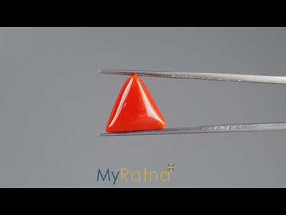 Red Coral (Moonga) - 7.94 Carats