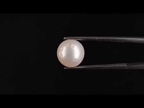South Sea Pearl - 5.43 Carats (Moti - 5.92 Ratti)