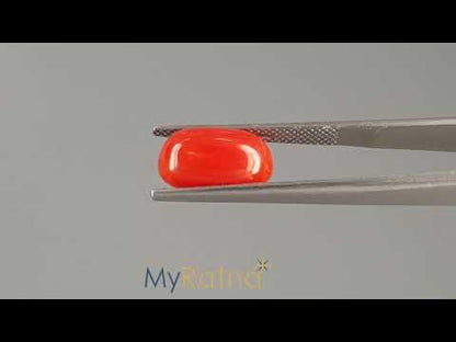 Red Coral - 5.20 Carats (Moonga - 5.67 Ratti)