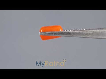 Red Coral (Moonga) - 3.82 Carats