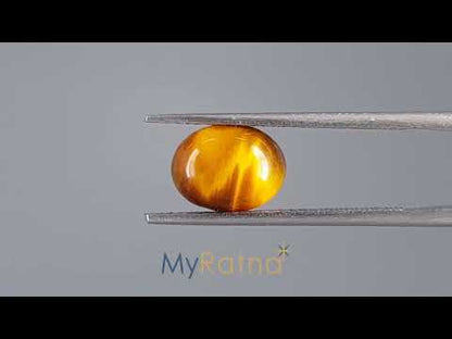 Tiger Eye - 1.82 Carats