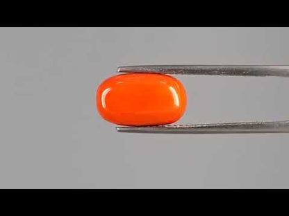 Red Coral - 4.84 Carats (Moonga - 5.28 Ratti)
