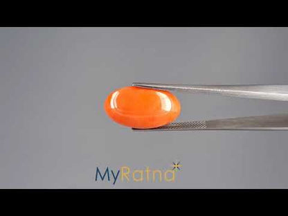 Red Coral - 13.22 Carats (Moonga - 14.41 Ratti)