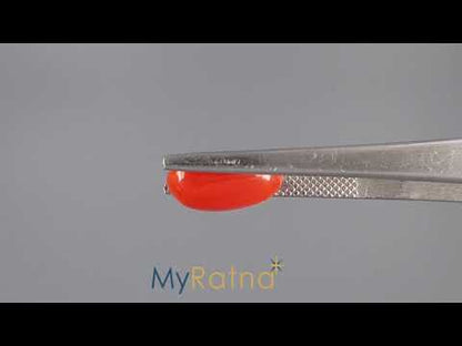 Red Coral (Moonga) - 4.19 Carats