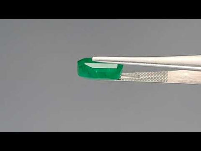 Emerald (Panna) - 4.64 Carats
