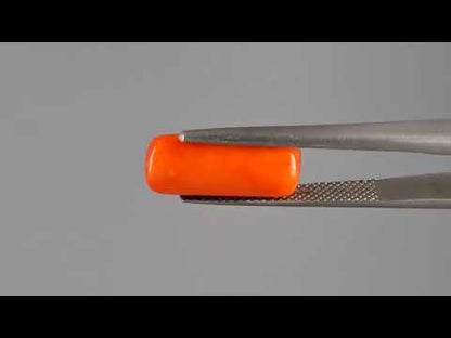 Red Coral - 5.12 Carats (Moonga - 5.58 Ratti)
