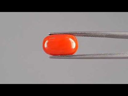 Red Coral (Moonga) - 4.66 Carats